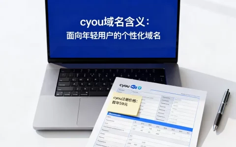 cyou域名代表什么意思？.cyou域名注册价格是多少