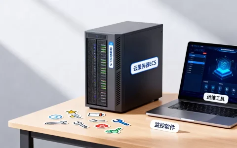云服务器ECS支持哪些运维工具？ECS常用运维监控软件有哪些