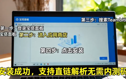 宝塔面板如何安装Teambition？支持直链解析无需内测码