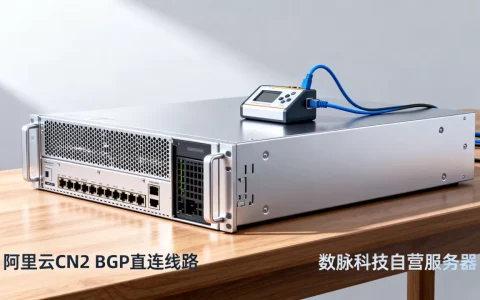 数脉科技最新促销香港自营/阿里云CN2 BGP直连线路独立服务器5.5折优惠月付300元起附优惠码及测试IP