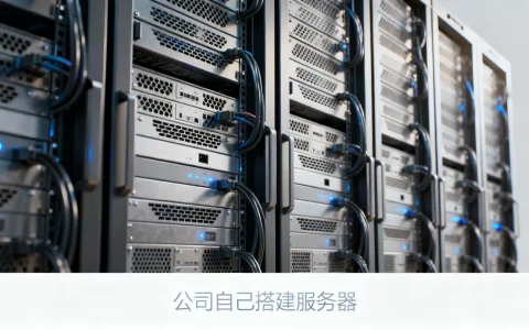 公司自己搭建服务器