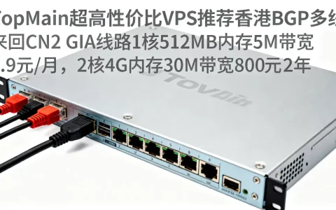 TopMain超高性价比VPS推荐香港BGP多线 来回CN2 GIA线路1核512MB内存5M带宽9.9元/月，2核4G内存30M带宽800元/2年