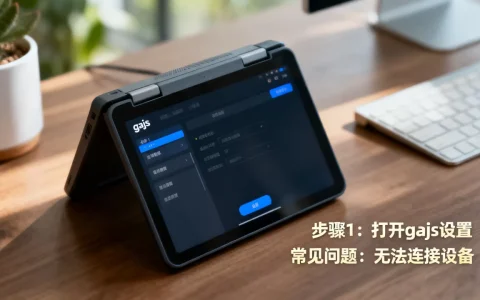 gajs如何使用？gajs教程及常见问题解答