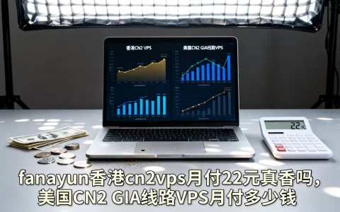 fanayun香港cn2vps月付22元真香吗，美国CN2 GIA线路VPS月付多少钱