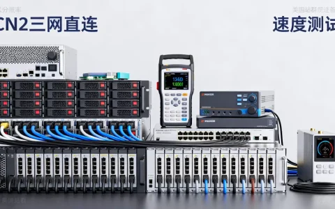 华纳云美国站群服务器好用吗，CN2三网直连速度评测
