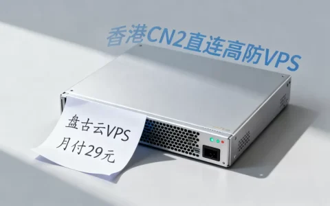 盘古云VPS月付29元稳不稳？香港CN2直连高防VPS推荐