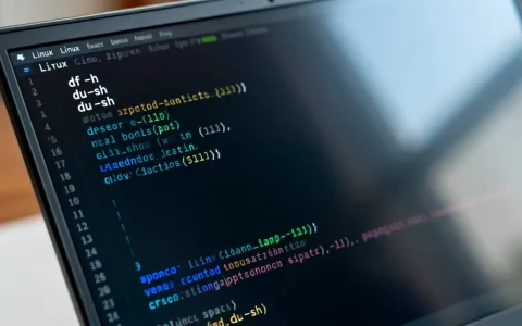Linux怎么查磁盘空间？linux查看磁盘空间命令