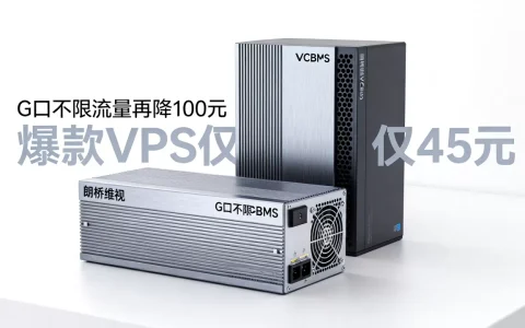 朗桥维视VCBMS年终钜惠G口不限流量再降100元，爆款VPS仅45元抢购攻略