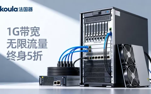 ikoula法国服务器1G带宽无限流量终身5折值得买吗？