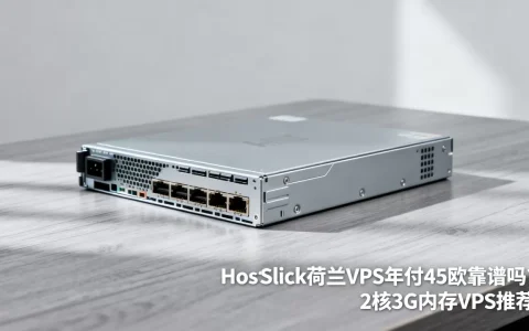 HostSlick荷兰VPS年付45欧靠谱吗？2核3G内存VPS推荐