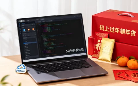 5分钟完成云原生应用开发体验？阿里云码上过年领年货攻略