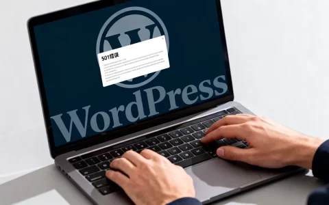 WordPress网站为何出现501错误？501错误怎么解决