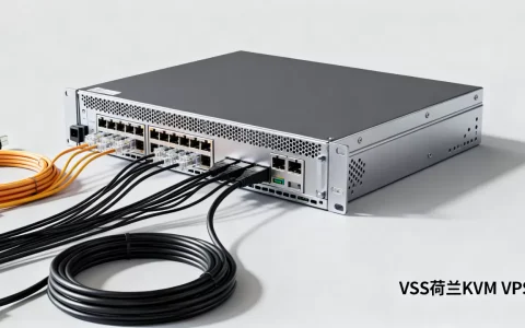 V.PS荷兰KVM VPS值得购买吗？荷兰VPS推荐