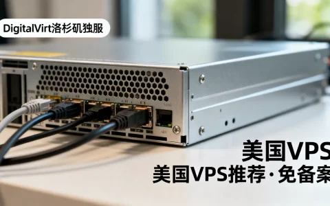 DigitalVirt洛杉矶独服性能如何？美国VPS推荐免备案