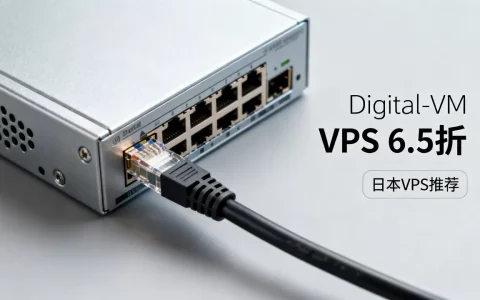 Digital-VM VPS全场6.5折值得买吗？便宜稳定的日本VPS推荐
