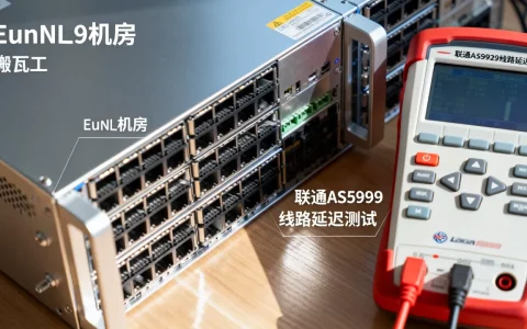 2026年搬瓦工荷兰EUNL_9机房好用吗，联通AS9929线路延迟多少