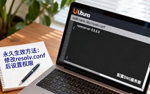 Ubuntu怎么配置DNS？Ubuntu配置DNS永久生效方法