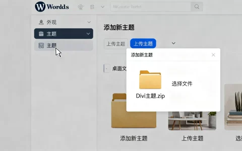 Divi主题怎么安装？WordPress网站搭建教程
