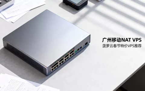 广州移动NAT VPS好用吗？菠萝云春节特价VPS推荐