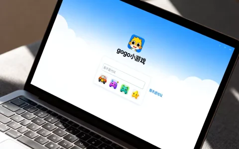 gogo 小游戏服务器地址在哪里？gogo 小游戏服务器地址怎么填