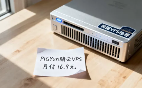 PIGYun猪云VPS月付16.9元性能如何？美国VPS推荐