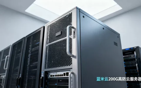蓝米云美国200G高防云服务器补货了吗？200G高防云服务器哪家强