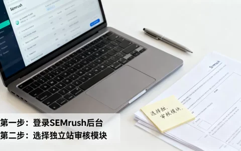 SEMrush审核跨境独立站图文教程怎么做？SEMrush跨境独立站审核流程