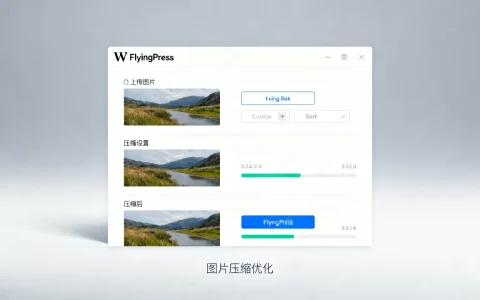 FlyingPress如何优化图片？WordPress图片压缩插件推荐