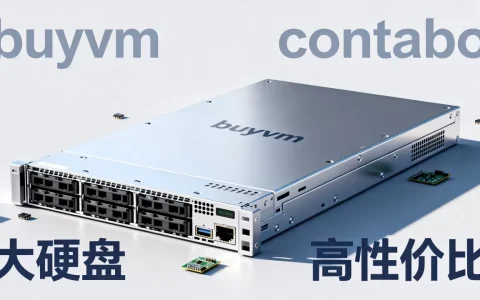 除了buyvm和contabo，还有哪些国外大硬盘VPS值得推荐？国外便宜大硬盘VPS推荐