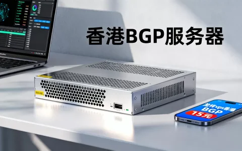 龙祥vps香港BGP15元真的稳定吗，香港vps租用多少钱一年