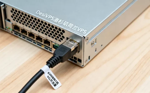 DesiVPS洛杉矶荷兰VPS值得买吗，KVM架构1核1G月流量