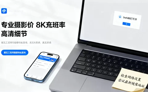 bwh88打不开连不上怎么办？搬瓦工官网最新镜像地址