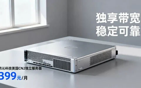 坊沁科技美国CN2独立服务器399元/月可靠吗？租用美国CN2独享带宽服务器哪家好