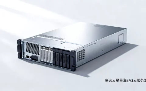 腾讯云星星海SA3云服务器性能如何？腾讯云星星海SA3云服务器评测