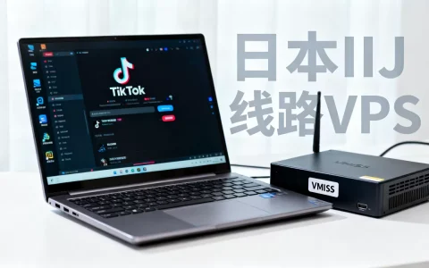 VMISS日本IIJ线路VPS怎么样？VMISS测评解锁TikTok