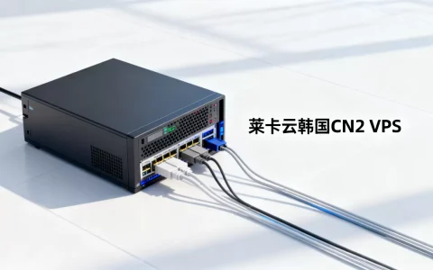 莱卡云韩国CN2 VPS好用吗？莱卡云适合做跨境电商吗
