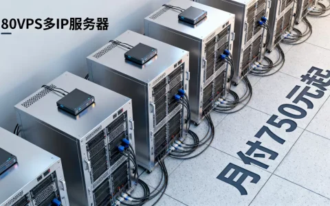 洛杉矶MC机房站群服务器月付750元起，80VPS多IP服务器租用费用
