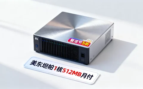 SpearwareNetworks复活节5折如何？美东坦帕1核512MB月付多少钱