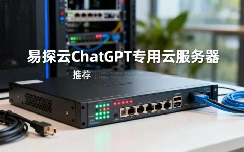 易探云ChatGPT专用云服务器好用吗？ChatGPT专用服务器推荐