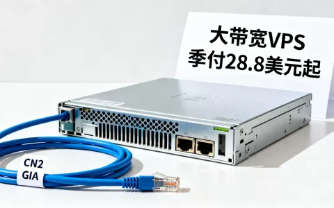 香港美国CN2 GIA大带宽VPS怎么选？季付28.8美元起值得入手吗