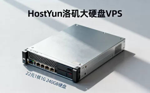 HostYun洛杉矶大硬盘VPS好用吗？22元1核1G 240GB硬盘怎么选