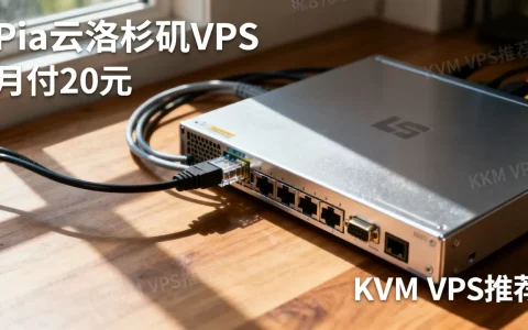 Pia云洛杉矶VPS月付20元好用吗？KVM VPS推荐