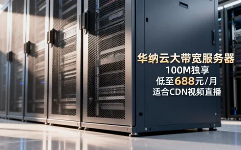 华纳云大带宽服务器100M独享低至688元/月靠谱吗，华纳云服务器适合CDN视频直播吗