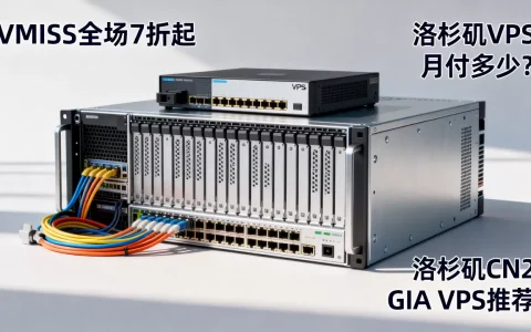 VMISS全场7折起洛杉矶VPS月付多少？洛杉矶CN2 GIA VPS推荐