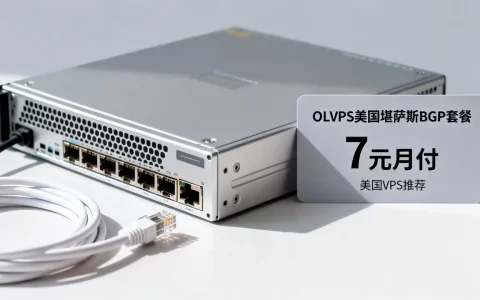 OLVPS美国堪萨斯BGP套餐7元月付值得入手吗？美国VPS推荐