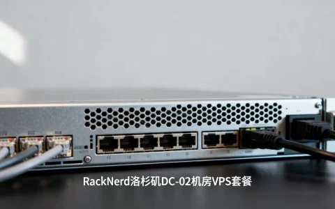 美国便宜VPS哪家强？RackNerd洛杉矶DC-02机房VPS套餐