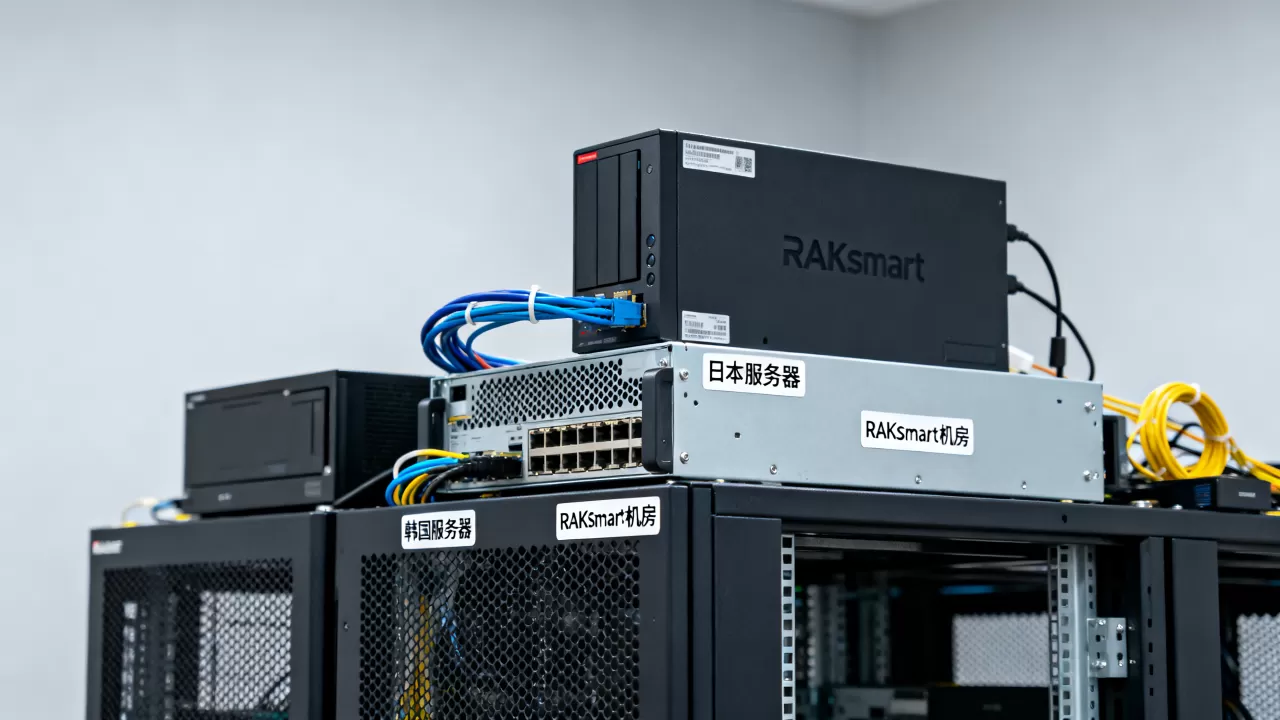 日本韩国服务器起贵吗?RAKsmart机房价格表 日本韩国服务器起贵吗?RAKsmart机房价格表