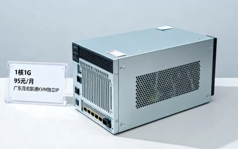 速云1核1G云服务器95元/月性能如何？广东茂名联通KVM独立IP配置