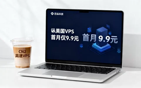 百纵科技美国VPS首月仅9.9元值得买吗？美国CN2高速VPS推荐