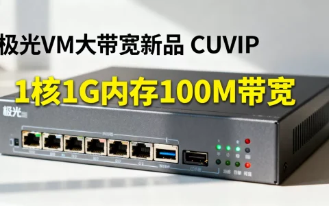 极光VM大带宽新品CUVIP性能如何？1核1G内存100M带宽适合什么